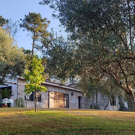 Penzion Quinta Da Pedra Mija Santar Exteriér fotografie