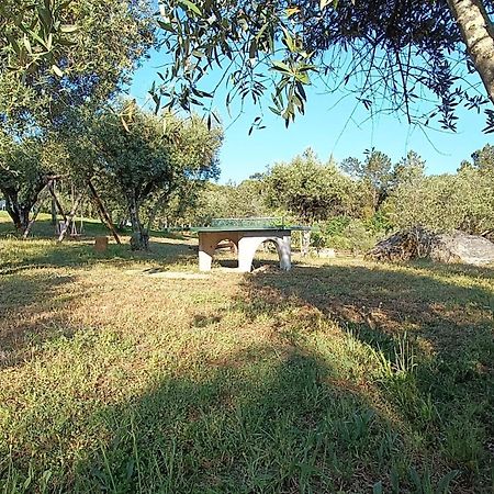 Penzion Quinta Da Pedra Mija Santar Exteriér fotografie