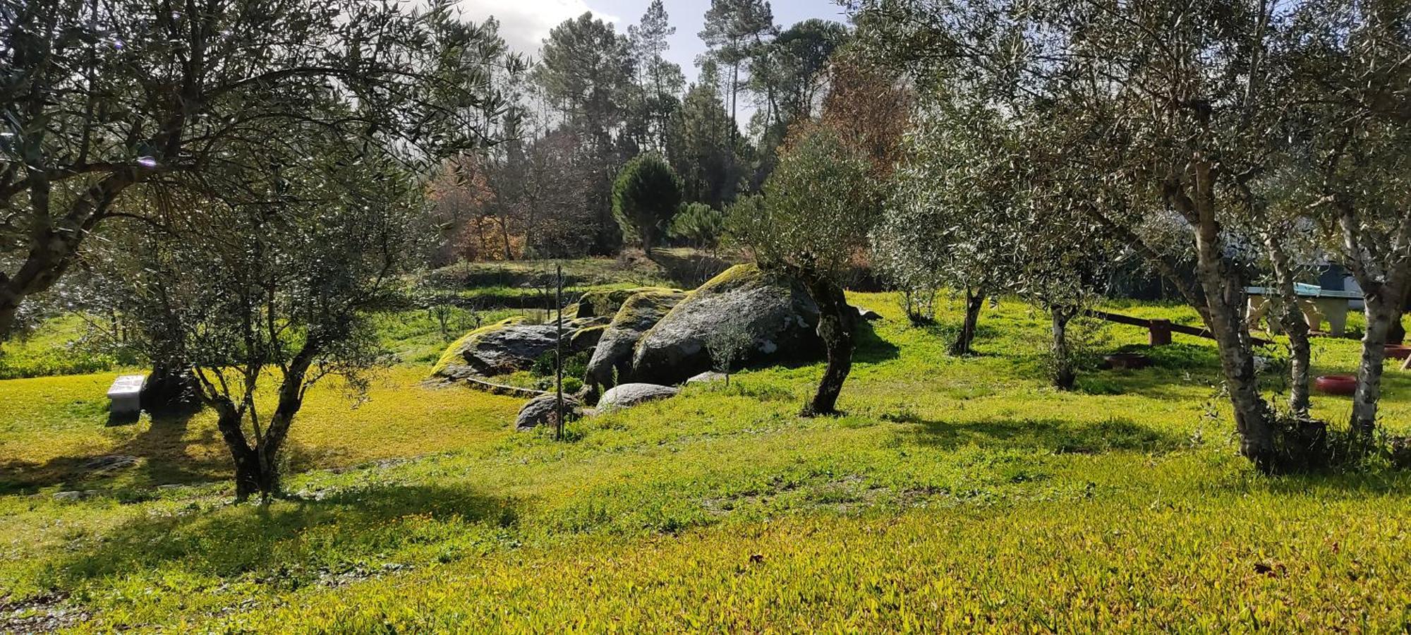 Penzion Quinta Da Pedra Mija Santar Exteriér fotografie