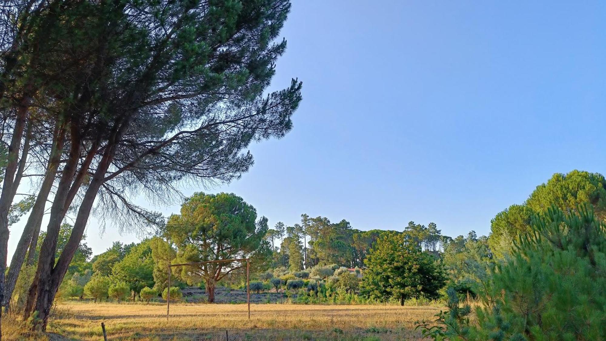 Penzion Quinta Da Pedra Mija Santar Exteriér fotografie