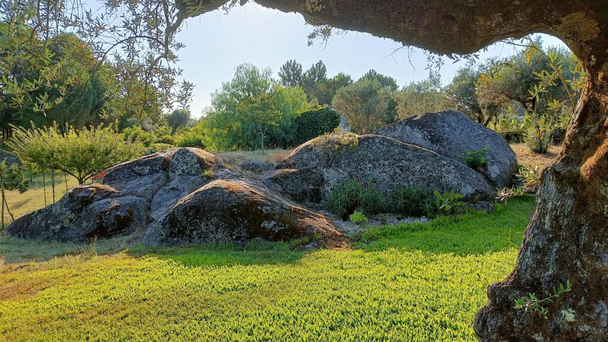 Penzion Quinta Da Pedra Mija Santar Exteriér fotografie