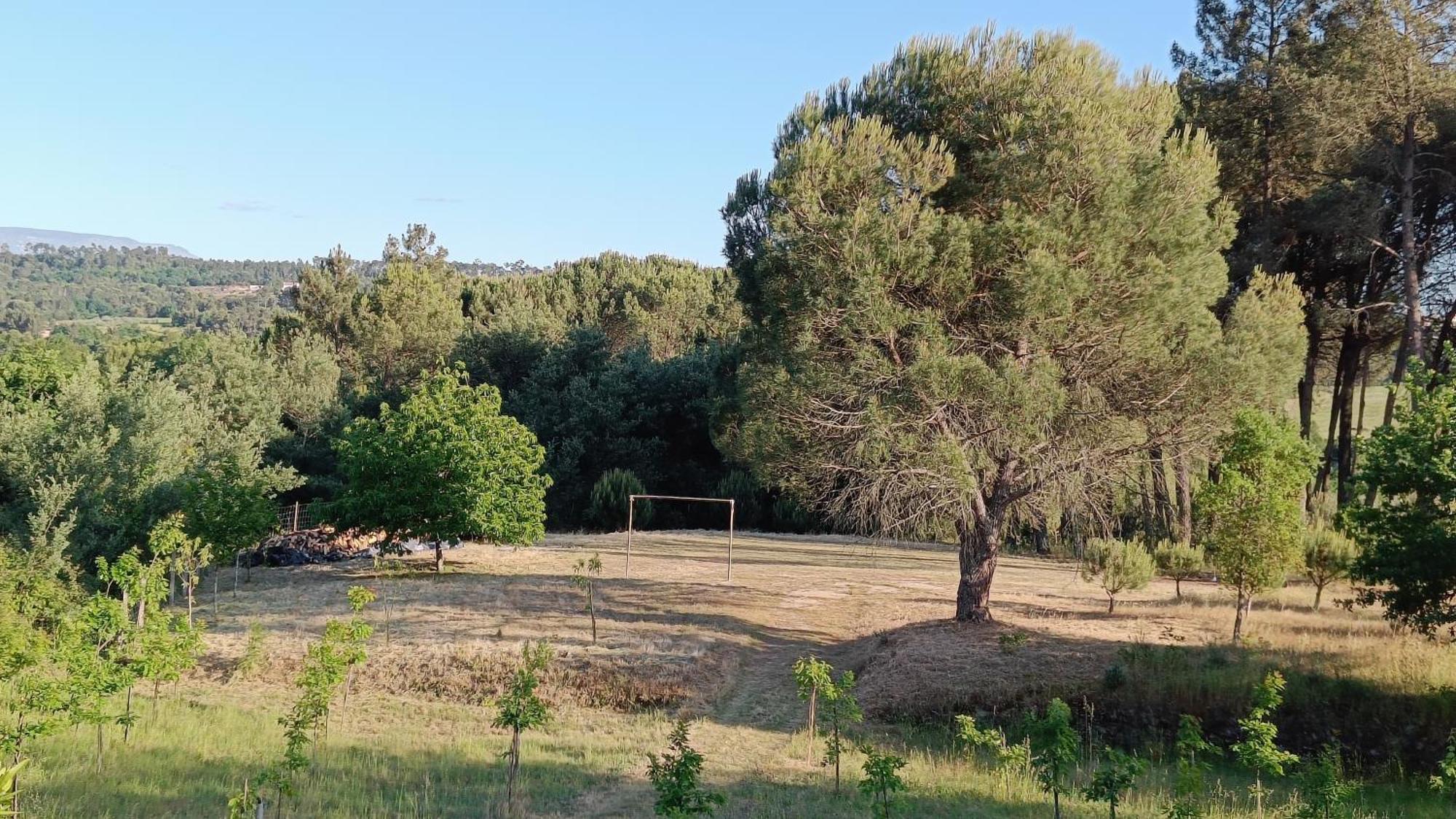 Penzion Quinta Da Pedra Mija Santar Exteriér fotografie
