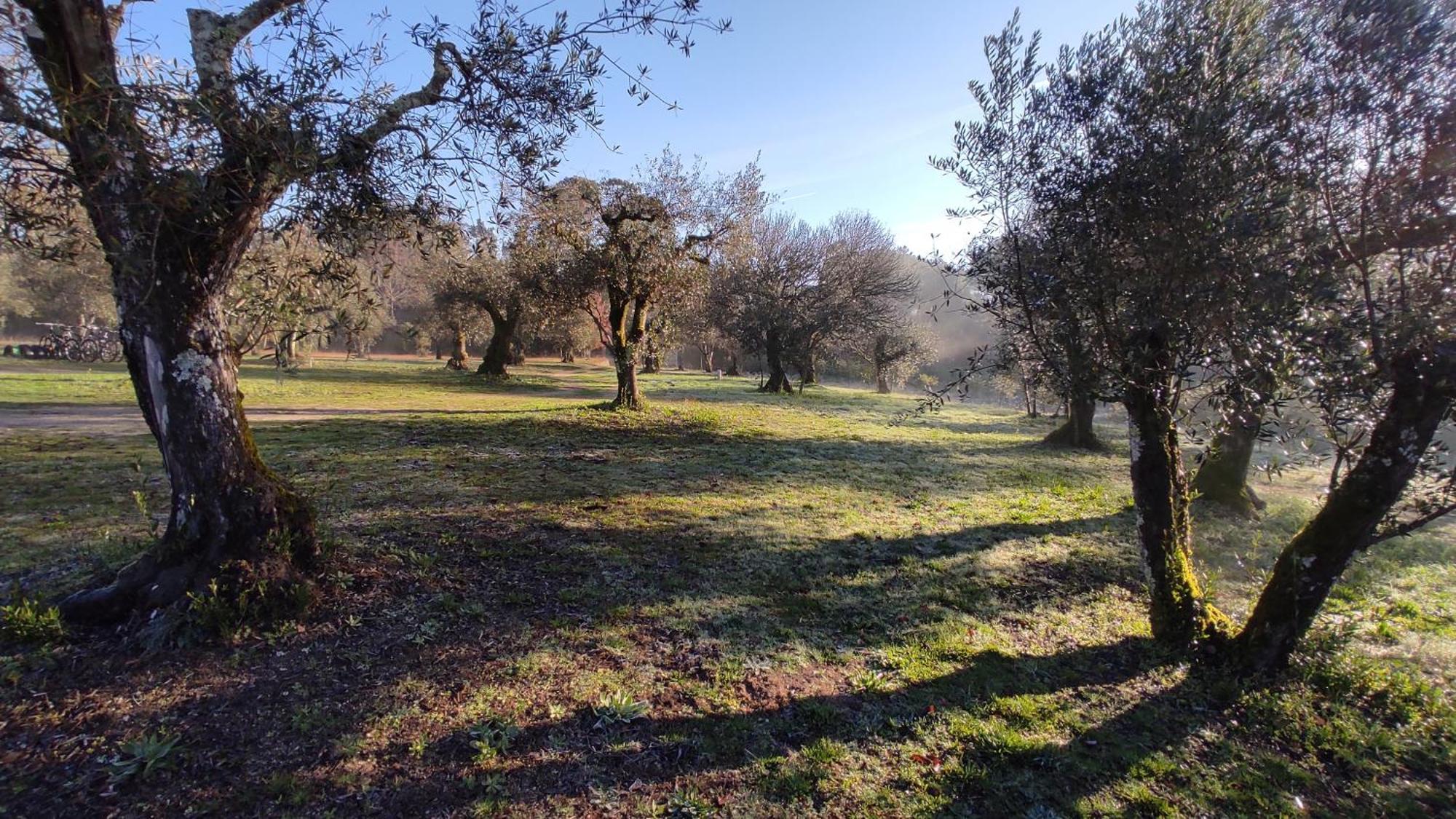 Penzion Quinta Da Pedra Mija Santar Exteriér fotografie