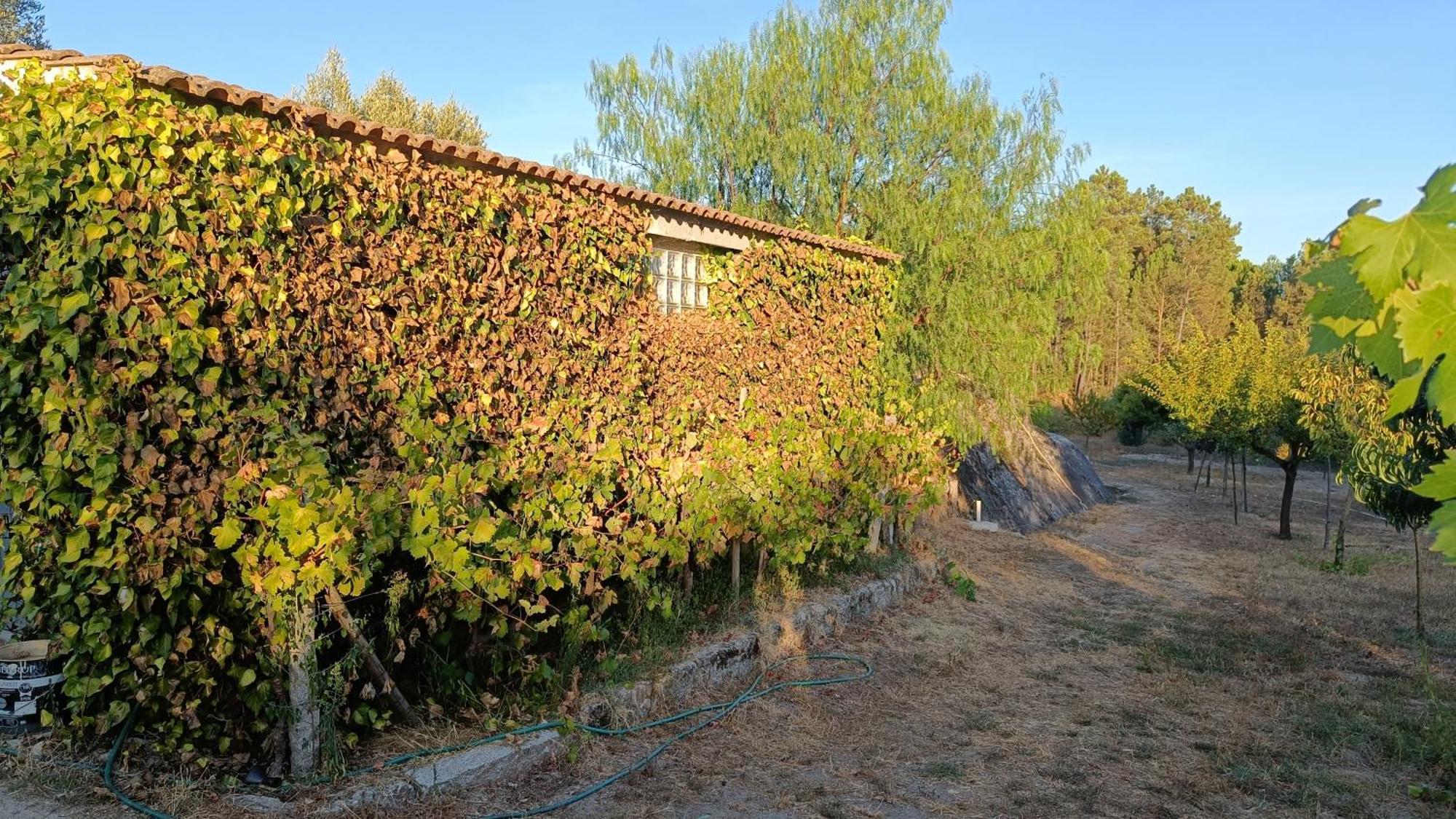 Penzion Quinta Da Pedra Mija Santar Exteriér fotografie