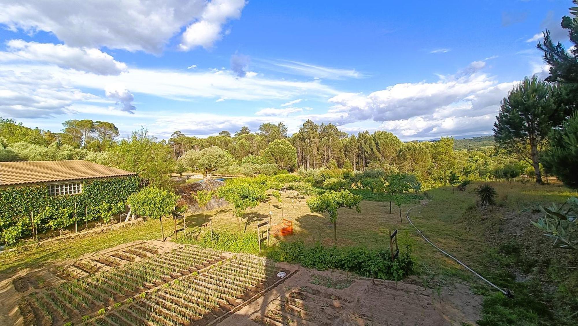 Penzion Quinta Da Pedra Mija Santar Exteriér fotografie
