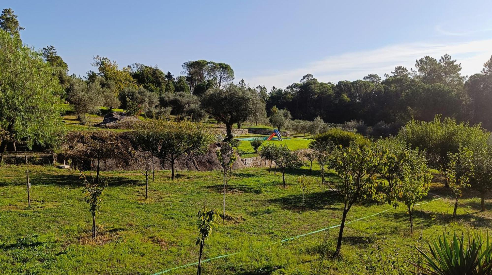 Penzion Quinta Da Pedra Mija Santar Exteriér fotografie