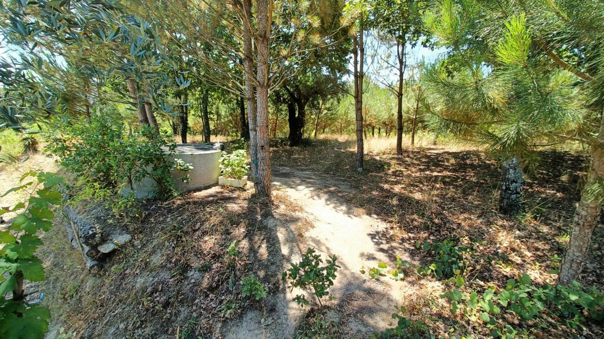 Penzion Quinta Da Pedra Mija Santar Exteriér fotografie