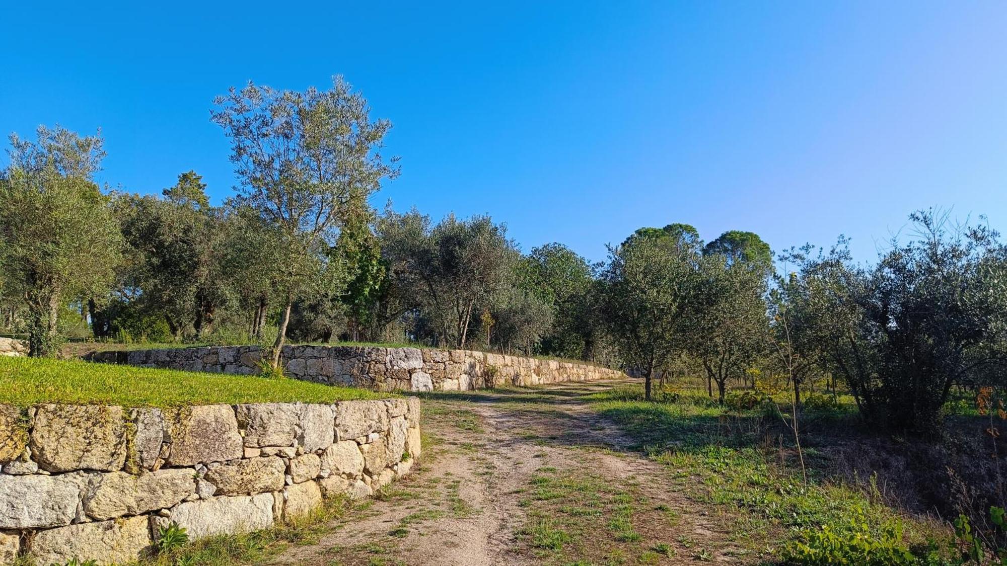 Penzion Quinta Da Pedra Mija Santar Exteriér fotografie