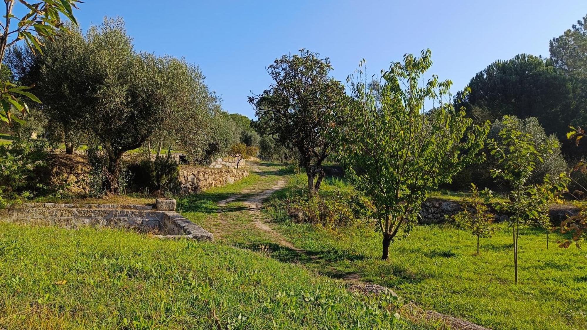 Penzion Quinta Da Pedra Mija Santar Exteriér fotografie