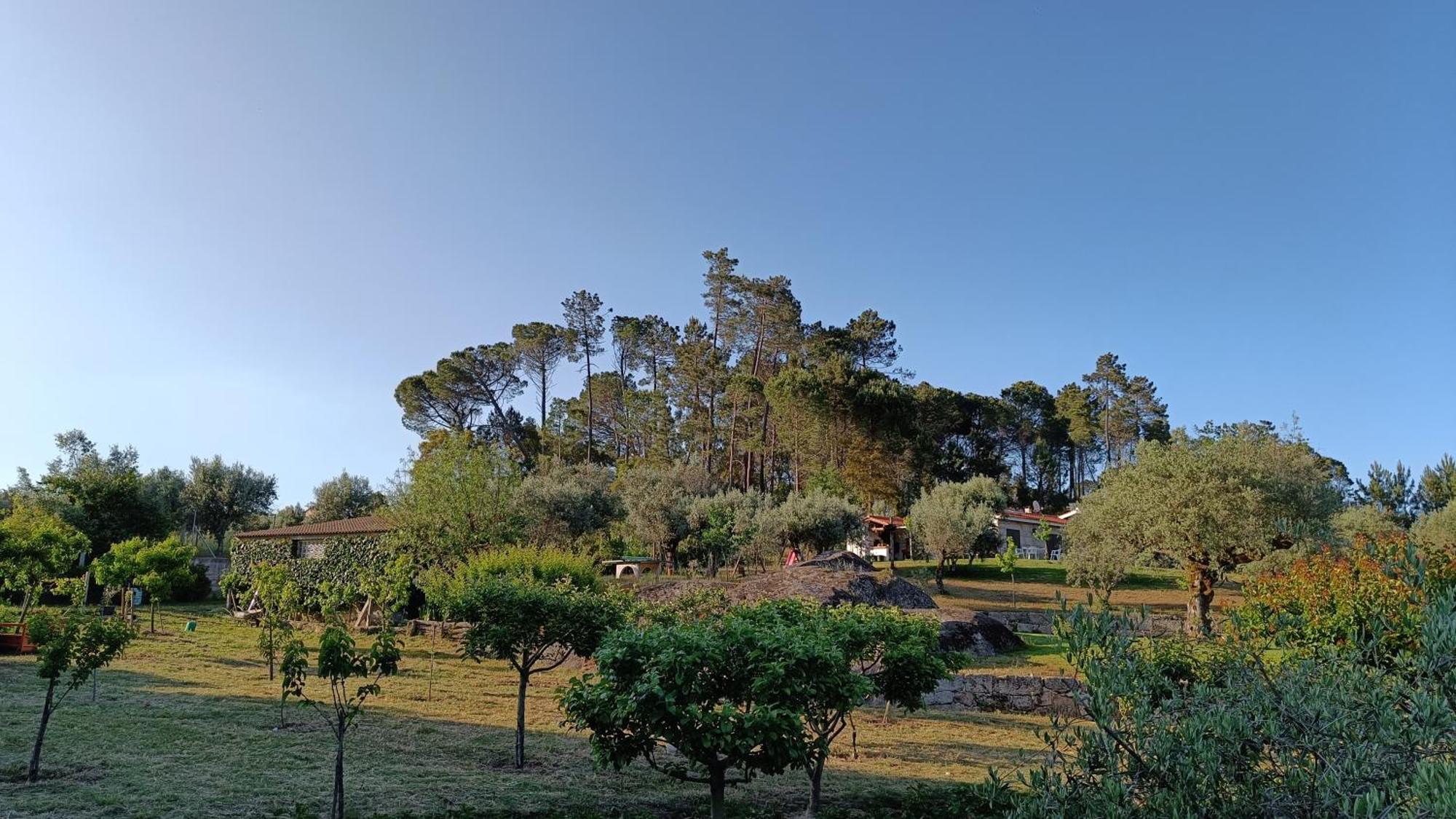 Penzion Quinta Da Pedra Mija Santar Exteriér fotografie