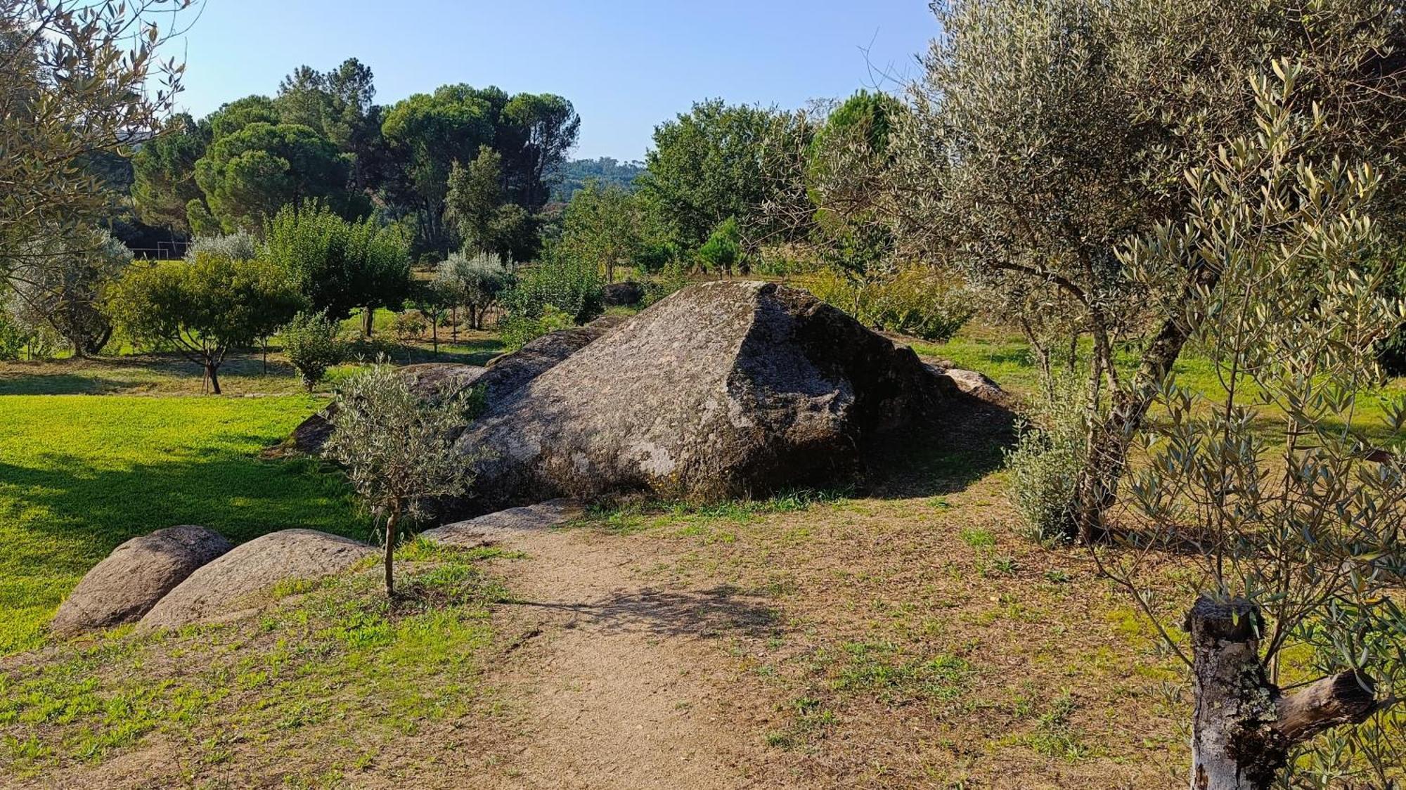 Penzion Quinta Da Pedra Mija Santar Exteriér fotografie