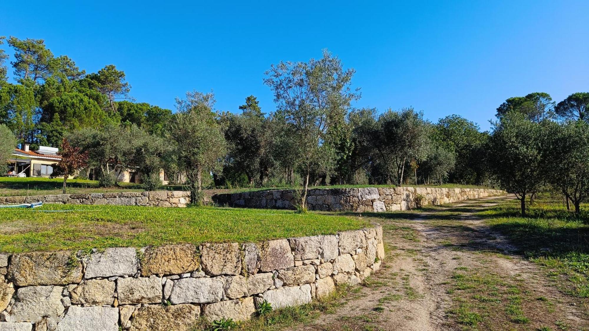 Penzion Quinta Da Pedra Mija Santar Exteriér fotografie