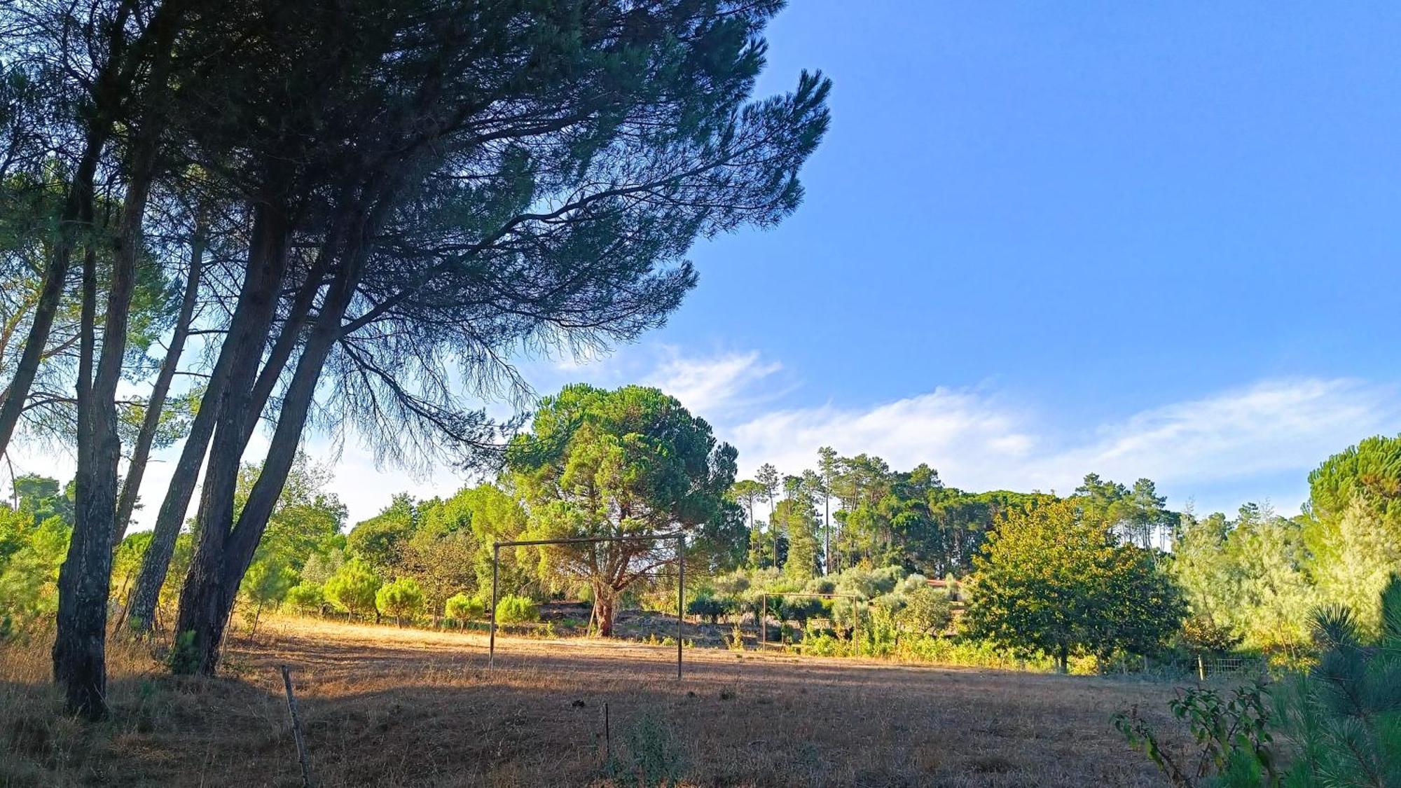 Penzion Quinta Da Pedra Mija Santar Exteriér fotografie