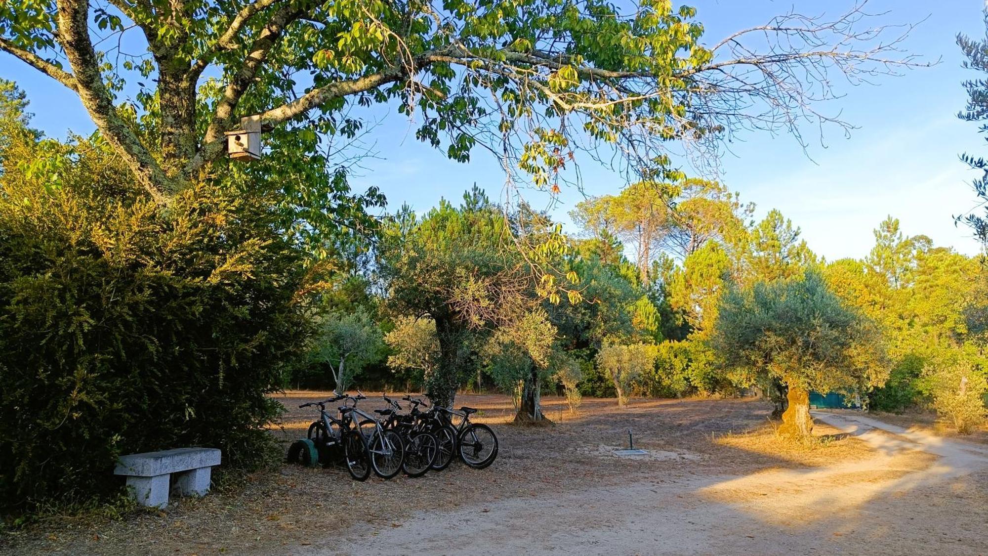 Penzion Quinta Da Pedra Mija Santar Exteriér fotografie