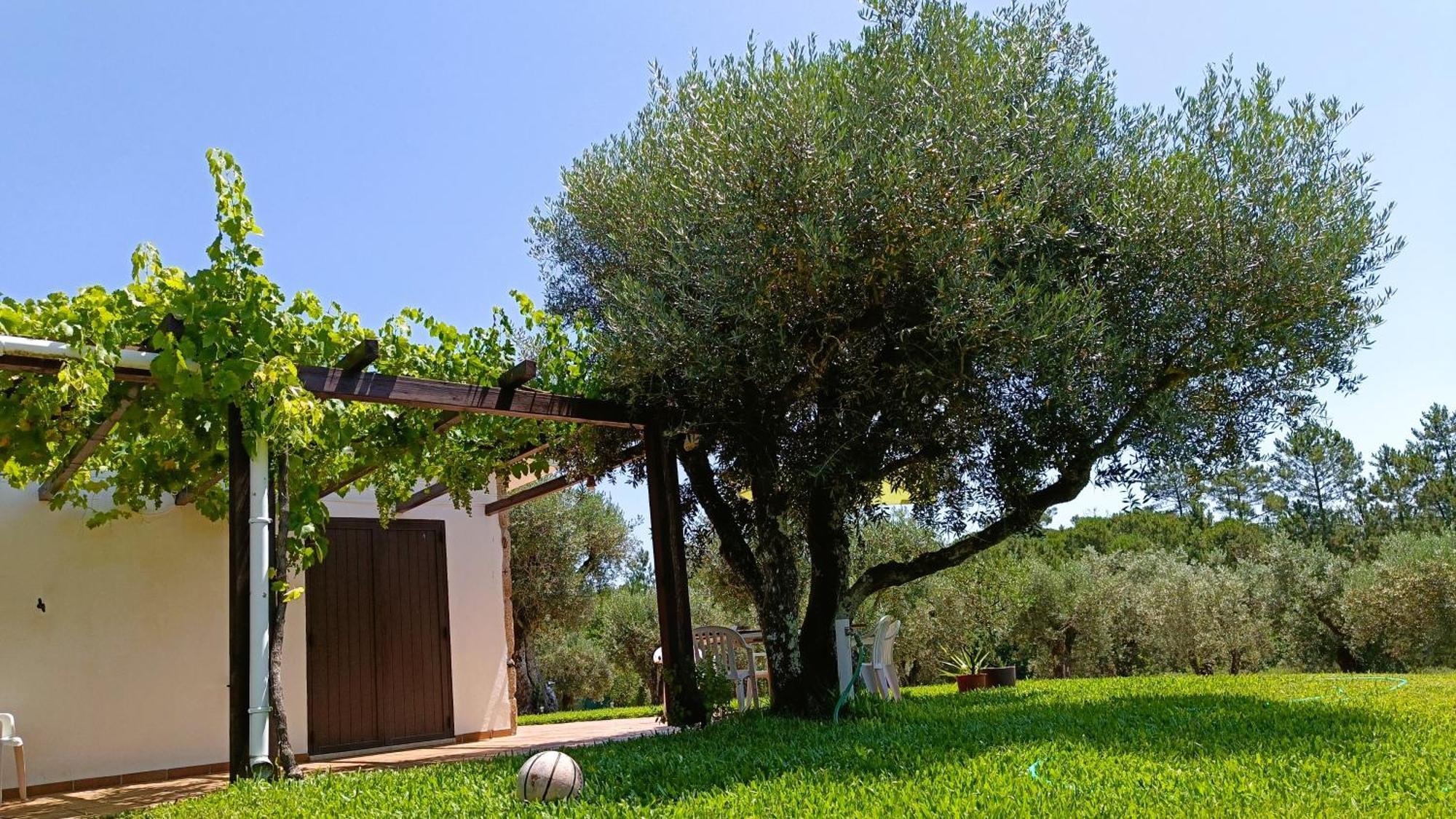 Penzion Quinta Da Pedra Mija Santar Exteriér fotografie