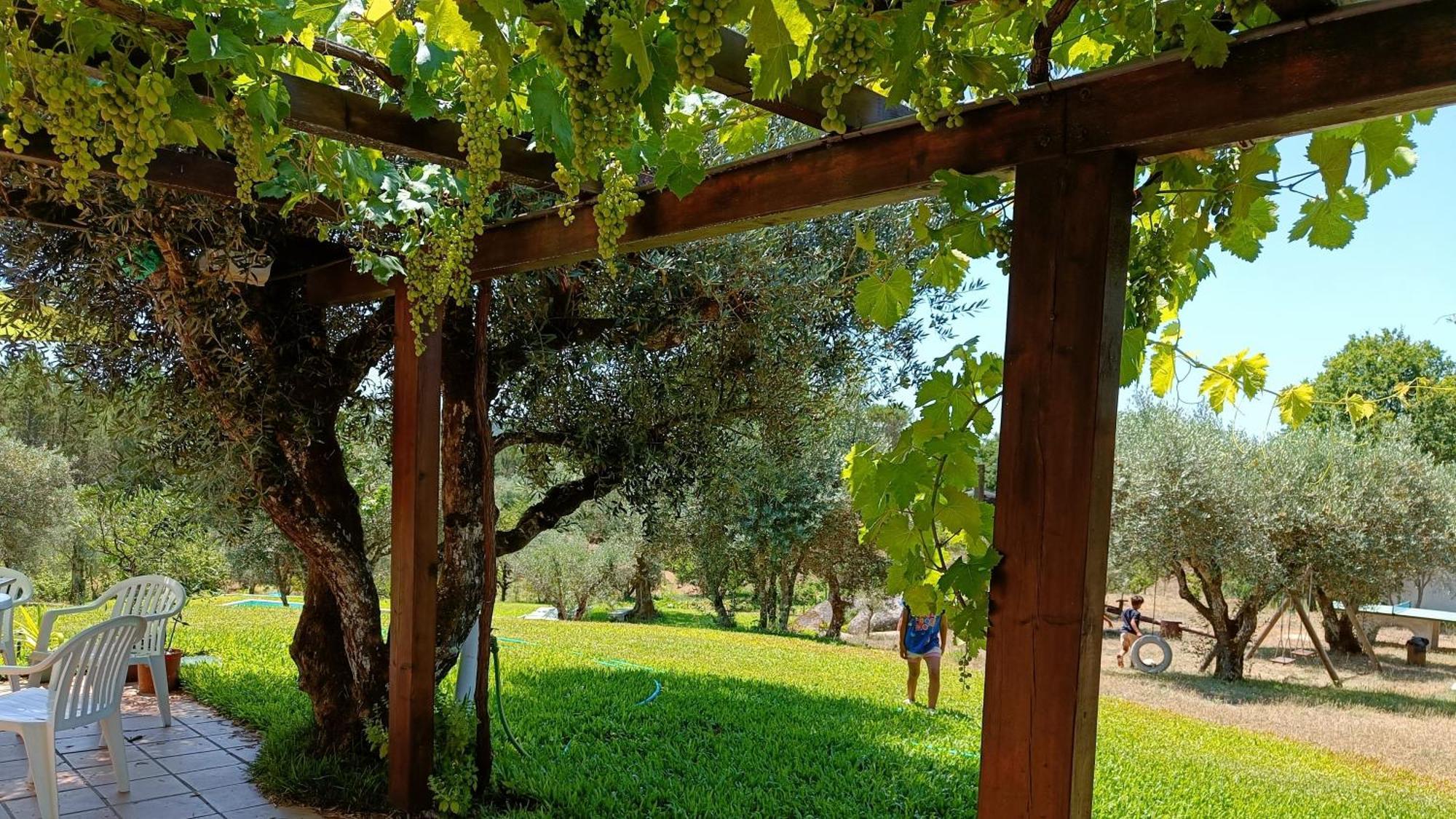 Penzion Quinta Da Pedra Mija Santar Exteriér fotografie