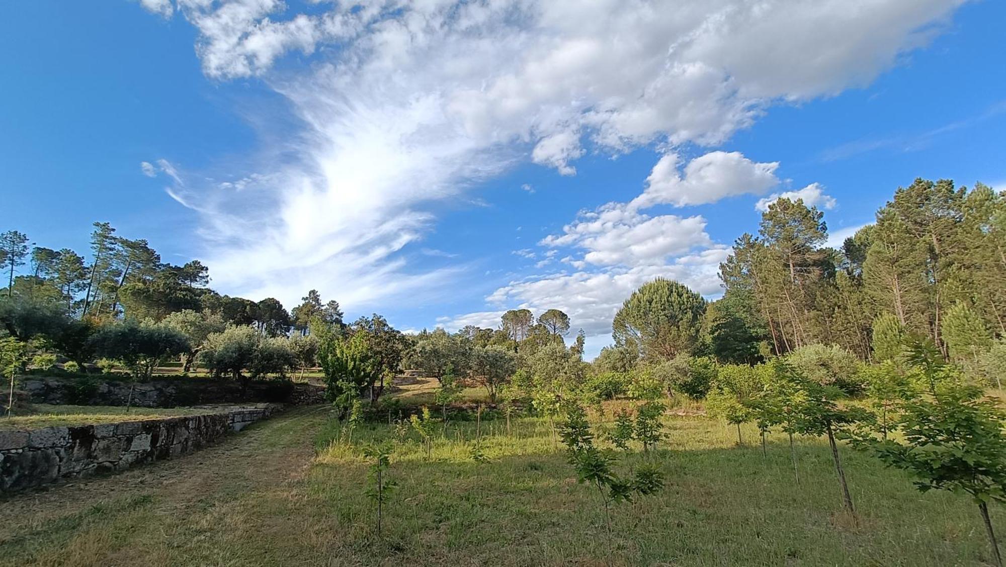 Penzion Quinta Da Pedra Mija Santar Exteriér fotografie