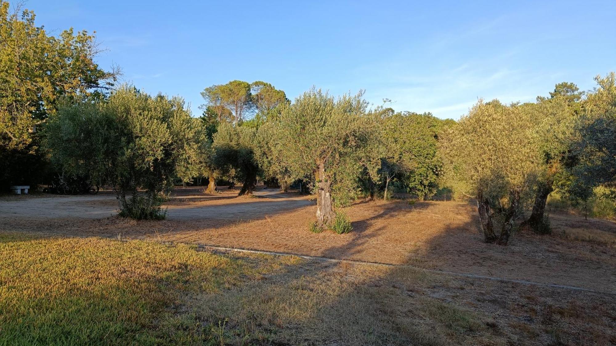 Penzion Quinta Da Pedra Mija Santar Exteriér fotografie