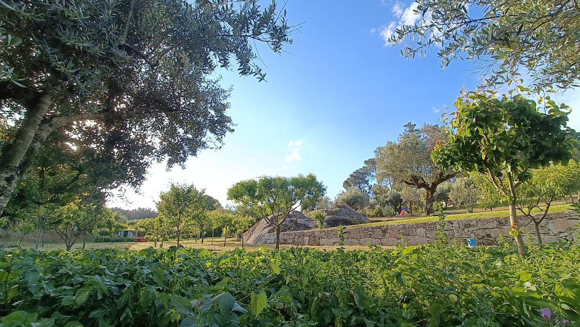 Penzion Quinta Da Pedra Mija Santar Exteriér fotografie