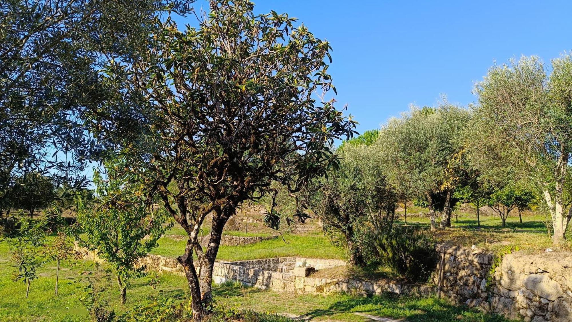 Penzion Quinta Da Pedra Mija Santar Exteriér fotografie
