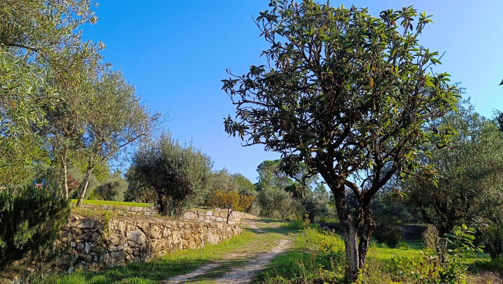 Penzion Quinta Da Pedra Mija Santar Exteriér fotografie